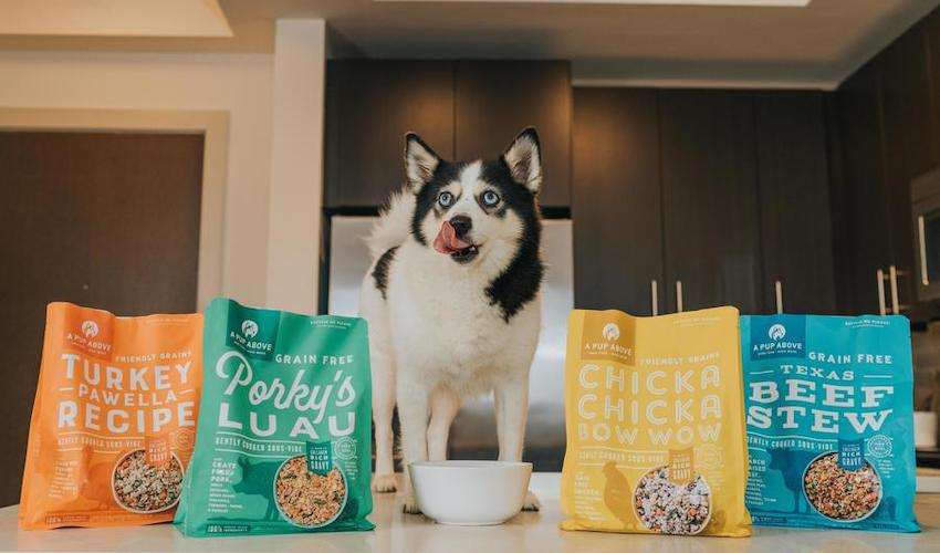 Photo of a dog in a kitchen with A Pup Above dog food