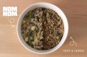 A bowl containing Nom Nom Now dog food vs Spot and Tango dog food