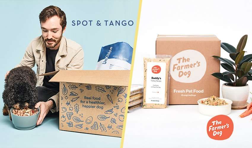 Spot and Tango vs The Farmer's Dog Food Comparison