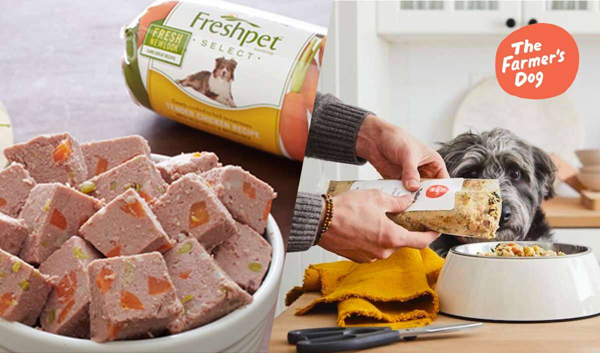 A picture of freshpet wet dog food next to a bowl of The Farmer's Dog food.