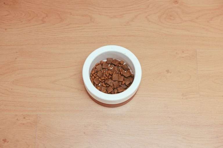 A bowl of novel protein dog food
