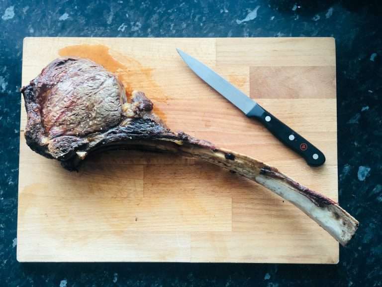 A piece of venison prepared for a dog